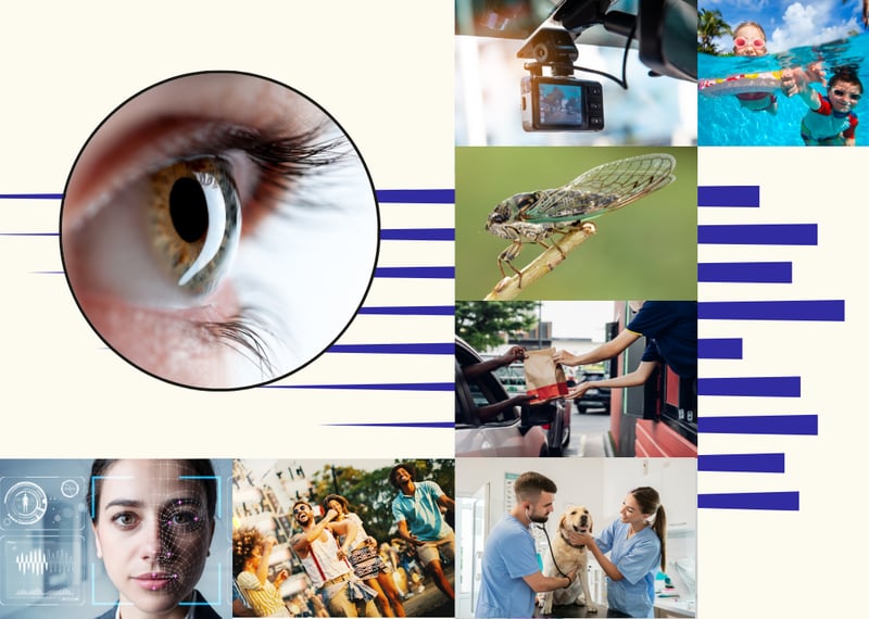 What Themes Will Engage Audiences in Q3? Key Insights from Stacker