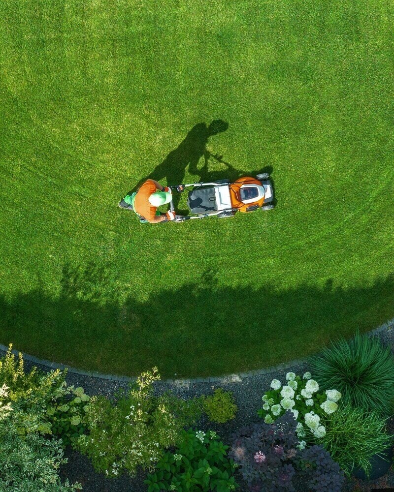 lawn care