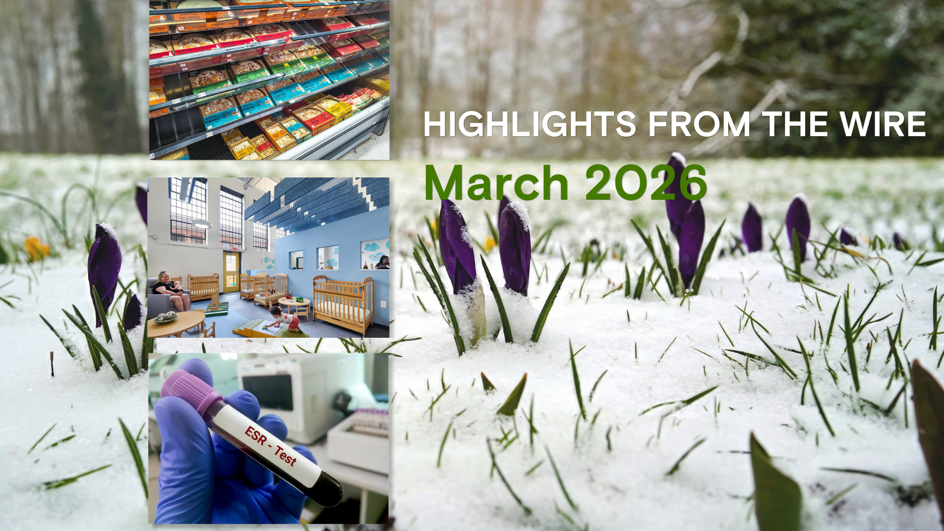 From the Newsroom: What Publishers Picked Up in March